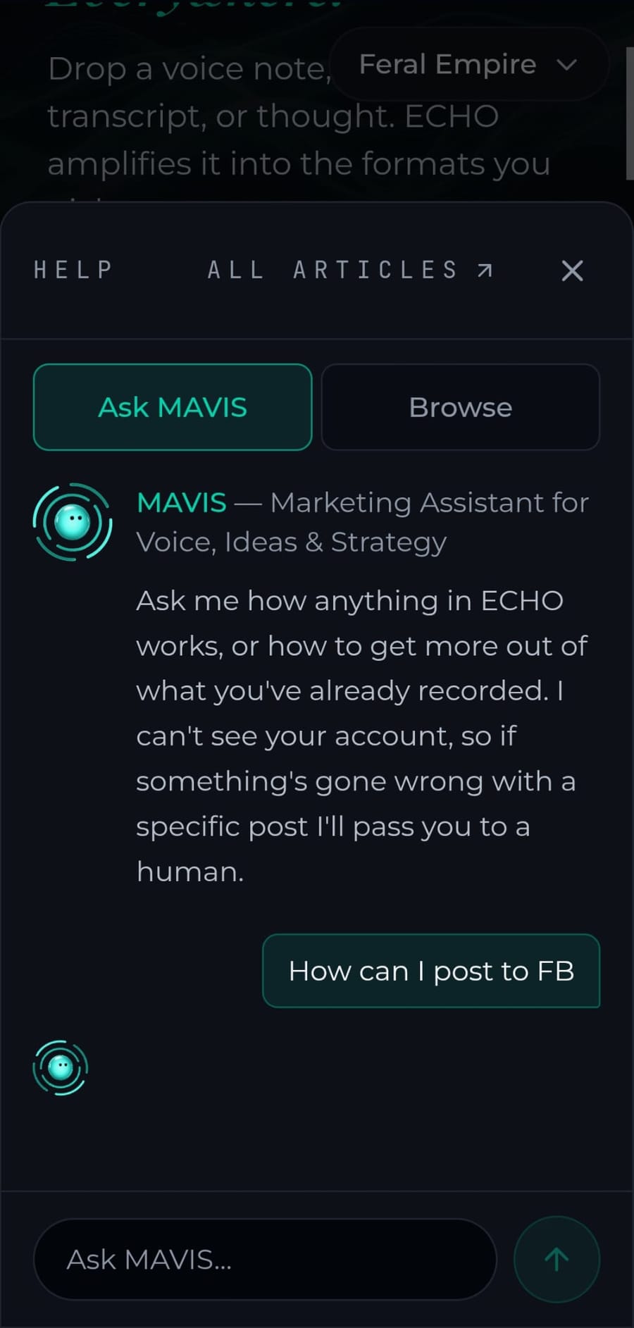 MAVIS — The assistant living inside ECHO, answering from what ECHO has written down.